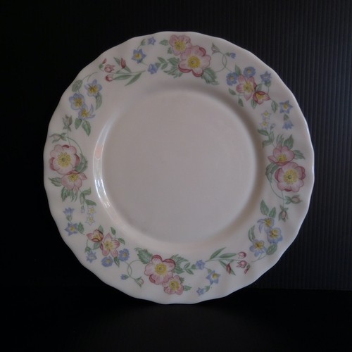 Assiette plate blanche verre