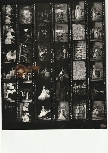 Tirage photo argentique - tirage,