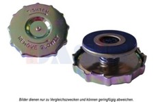 Cache-Radiateur pour Fendt