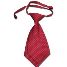 Expédié de Paris - Cravate