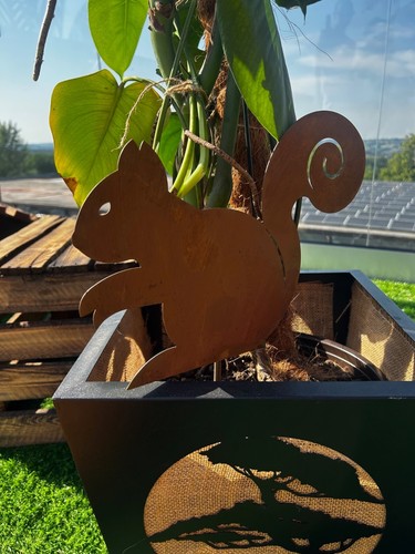 Jardin terrasse inox - terrasse,