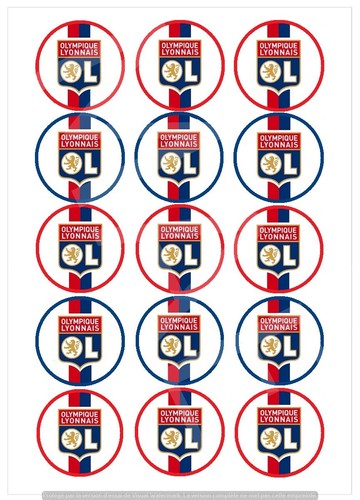 Olympique lyon lot - lot, de