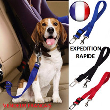 Ceinture de sécurité réglable Pour Chien Chat Voiture Laisse d'attache Auto