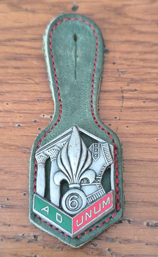 Insigne reg régiment - 6°,