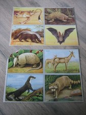 2 Anciennes planches images