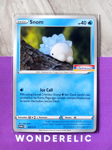 Snom 255 carte - 255/s-p, pokemon