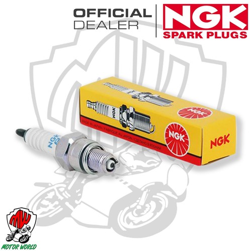 Bougie allumage ngk - bougie,