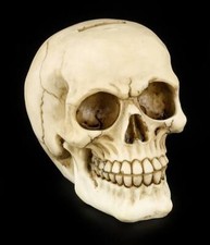 Tirelire Tête De Mort - Rire