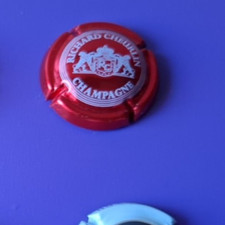 1 capsule de champagne -