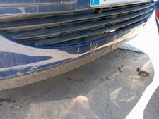 Grille Pare-Choc Centralle