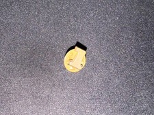 (V10) PINS BADGE ENAMEL