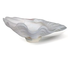 GRAND BÉNITIER COQUILLAGE