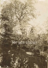 PAYSAGE FLUVIAL vers 1890 photo 16,2 x 11,4 cm