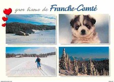 Animaux - Chiens - Husky - Chiots - Franche Comté - Multivues - Skieurs - Carte
