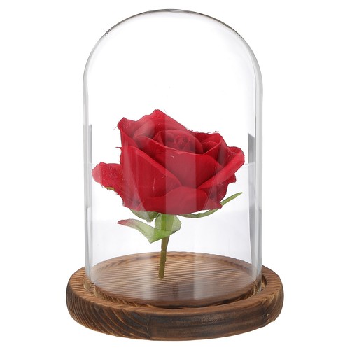 Dôme verre pour cloche - pour,