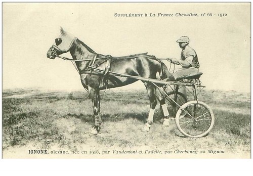 hippisme.n°35968.ionone.aleza