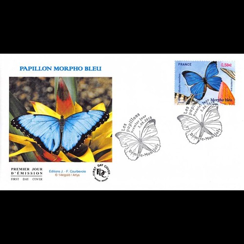 Fdc les papillons morpho - les, papillons,