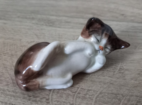 Cat chat chaton royal - /,