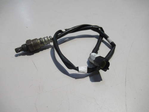 Sonde lambda sym joymax 300 - (sym,