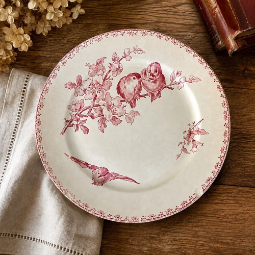 Assiette ancienne faïence - en,