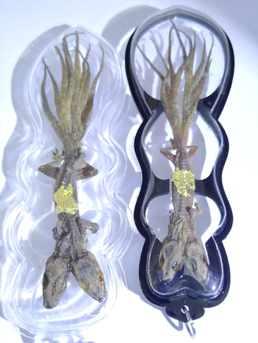 2pcs 2head 9tail lizard - 2head,