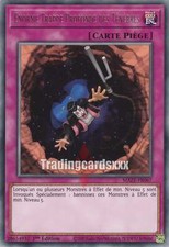 Yu-Gi-Oh! Énorme Trappe Profonde des Ténèbres : R MAZE-FR067
