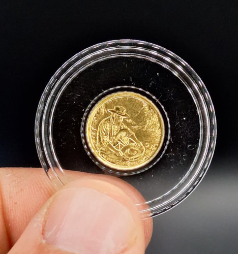 9999 pure gold coin - .9999,