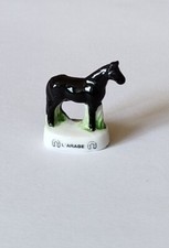 Fève cheval : L'ARABE