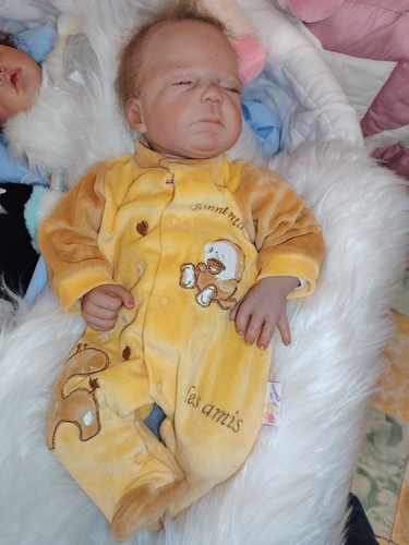 Reborn kit devine tamie - kit,