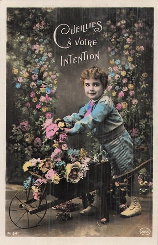 Cueillies votre intention - cueillies,