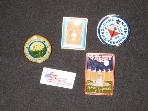 Different boy scout hat pins - different,