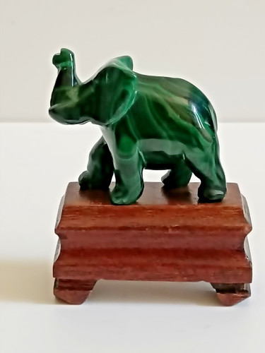 éléphant malachite - en,