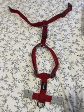 Harnais Chiot 6 Mois 