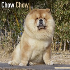 Calendrier 2017 - CHOW CHOW