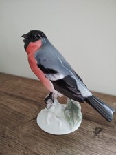 Oiseau porcelaine Rosenthal Bouvreuil-Rosenthal Porzellan Vogel Gimpel Dompfaff