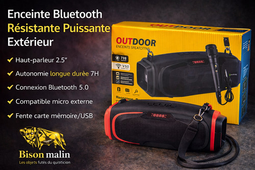 Enceinte bluetooth - 🦬🔊enceinte,
