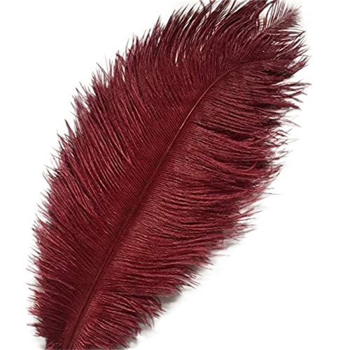Lot plumes d autruche - de,