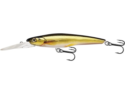 Livetarget rainbow smelt - rainbow,