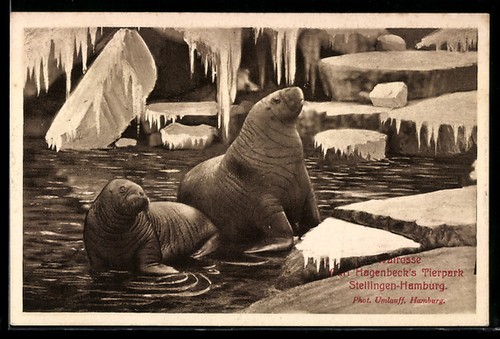 Carte postale
