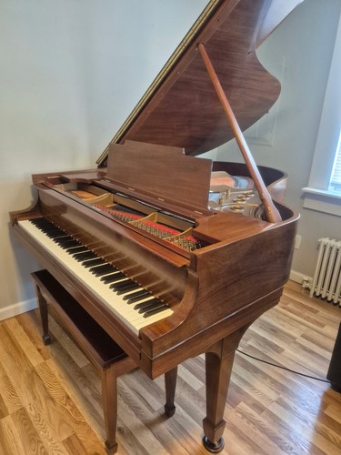 Steinway golden age grand - steinway, m
