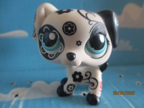 Petshop chien dalmatien - petshop,