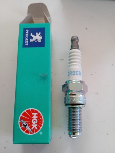 Bougie ngk cr9eb ducati - ngk,