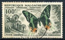 STAMP / TIMBRE DE MADAGASCAR N°81 OBLITERE PAPILLON