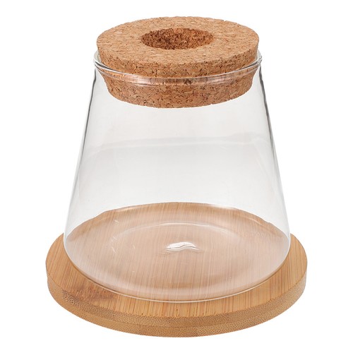 Aquarium pour poissons bocaux - poissons,