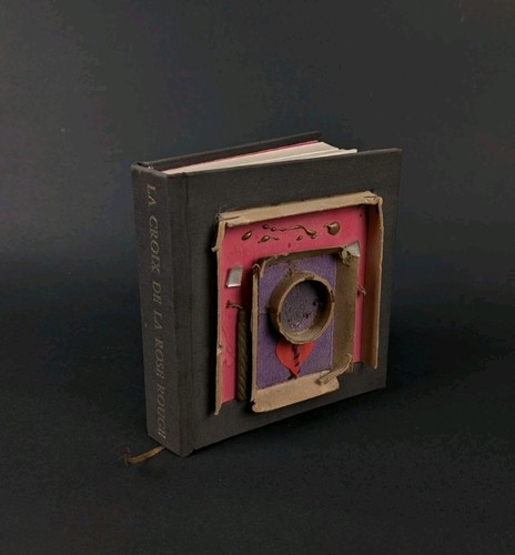 Livre croix la rose - livre,