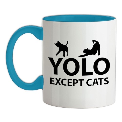 Yolo sauf chats - chats, céramique