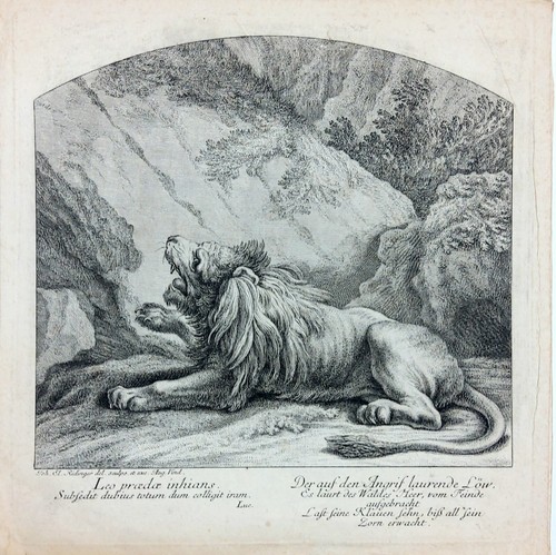 Gravure xviiie lion couché - xviiie,