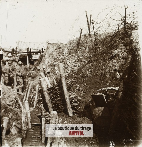 Massiges arbres aux vaches - aux,