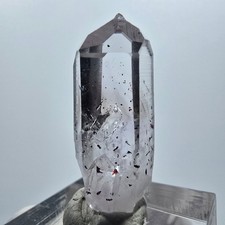 Enhydro Lemurian Harlequin