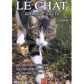 Dvd chat animal sacré - dvd, le